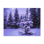 Christmas Tree in the Forest Postcards