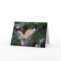 Christmas tree kitten - Customized cards