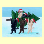 Christmas Tree Labradors in the snow field postcards