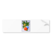 Christmas Tree Ornaments Design bumper stickers by original_designs Christmas Tree Ornaments Design bumper stickers