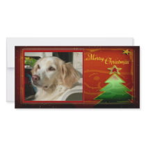 Christmas Tree Photo Card photo cards by elenaind Christmas Tree Photo Card photo cards