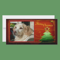 Christmas Tree Photo Card photo cards