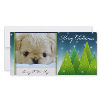 Christmas tree photo card template photocard