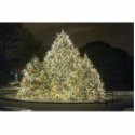 Christmas Tree photo sculptures by dbeverly Christmas Tree photo sculptures