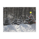 Christmas Tree Postcard