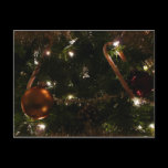 Christmas Tree Postcard