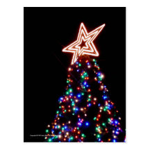 Christmas Tree [Postcard]