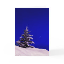 Christmas Tree & the Moon cards
