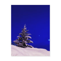 Christmas Tree & the Moon postcards