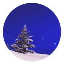 Christmas Tree & the Moon stickers