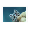 Christmas Tree Worm posters