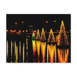 Christmas Trees In the Bay