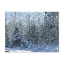 Christmas trees postcards by dolly_1 Christmas trees postcards