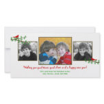 Christmas Twitters Holiday Photo Card