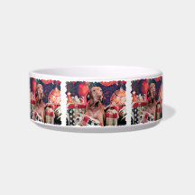 Christmas - Vizsla - Budda Cat Bowl