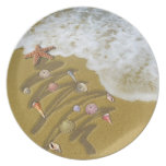 Christmas Washed Up on Shore Dinner Plates