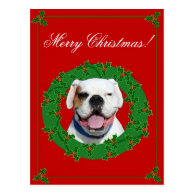 Christmas White Boxer postcard