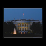Christmas White House at Night Postcard