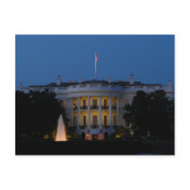 Christmas White House at Night Postcard