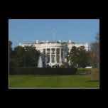 Christmas White House Postcard