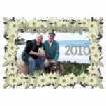Christmas - White Poinsettas - Williams Photo 1 Photo Cut Out