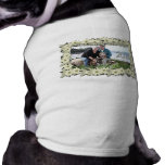 Christmas - White Poinsettas - Williams Photo 3 Pet Clothing