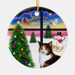 Christmas Window - Calico cat (Amer.Short Hair) Christmas Tree Ornaments