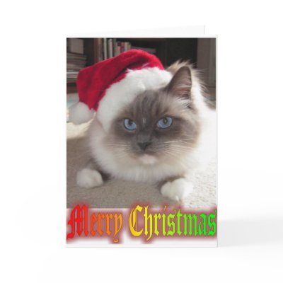 Christmas Wish cards