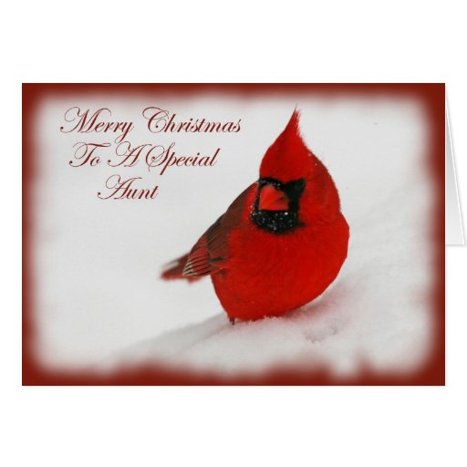 Christmas Wishes Cardinal Aunt Card Zazzle