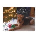 Christmas with Madeleine Postcard