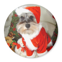 Christmas X'Mas Miniature Schnauzer magnets by AngelaMini Christmas X'Mas Miniature Schnauzer magnets