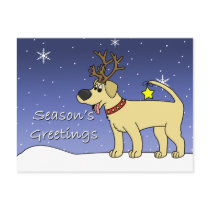 Christmas Yellow Lab Post Cards