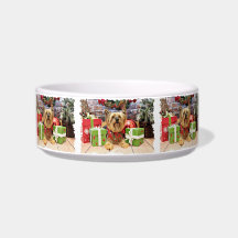 Christmas - Yorkie - Chloe Pet Water Bowl