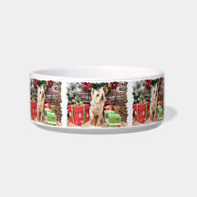Christmas - Yorkie - Dorie Pet Water Bowl