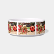 Christmas - Yorkie - Kinsey Pet Water Bowl