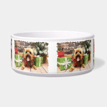 Christmas - Yorkie - Pixie Pet Water Bowl