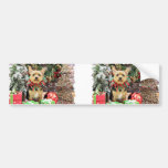Christmas - Yorkie X - Little Bit Bumper Sticker
