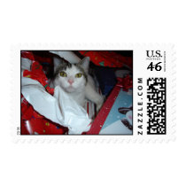 ChristmasSasha Stamp