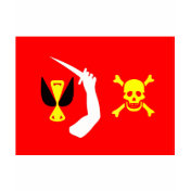 Christopher Moody pirate flag