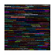 Christopher Text Design I Light Shirt Female by SjStevenson Christopher Text Design I Light Shirt Female