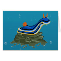 Chromadoris Nudibranch cards