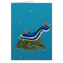 Chromadoris Nudibranch cards