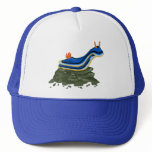 Chromadoris Nudibranch hats