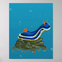 Chromadoris Nudibranch Print