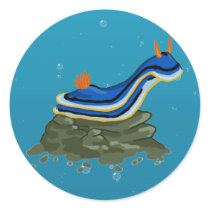 Chromadoris Nudibranch stickers
