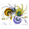 Chromatic Shrimp Poster posters