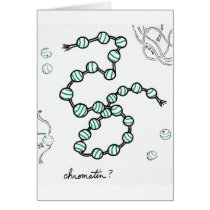 Chromatin card