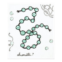 Chromatin print by bio_muse Chromatin print