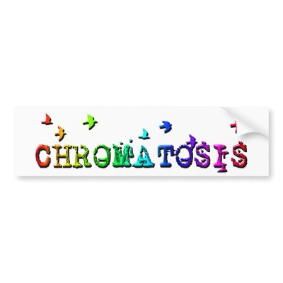 chromatosis : rainbow birds : bumper sticker by chromatosis