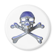 Chrome skull and crossbones magnets